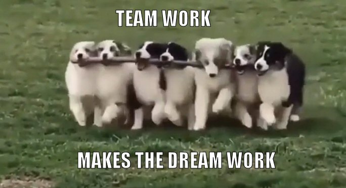 Team Work.jpg